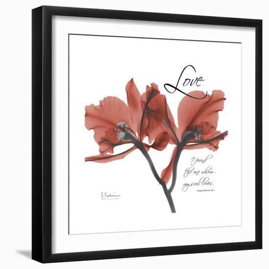 Love Orchid-Albert Koetsier-Framed Premium Giclee Print