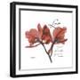 Love Orchid-Albert Koetsier-Framed Premium Giclee Print