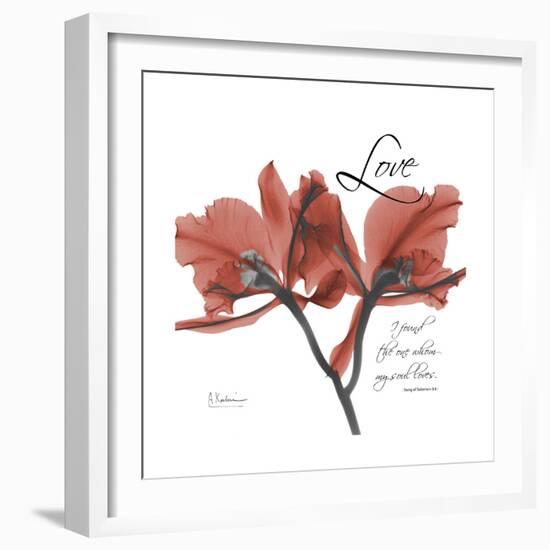 Love Orchid-Albert Koetsier-Framed Premium Giclee Print