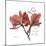 Love Orchid-Albert Koetsier-Mounted Premium Giclee Print