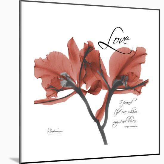 Love Orchid-Albert Koetsier-Mounted Premium Giclee Print