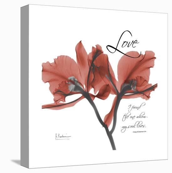 Love Orchid-Albert Koetsier-Stretched Canvas