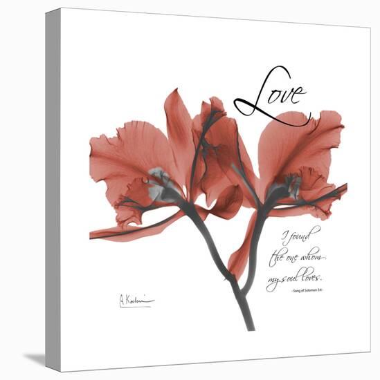 Love Orchid-Albert Koetsier-Stretched Canvas