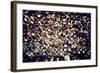 Love padlocks on the bridge - Paris - France-Philippe Hugonnard-Framed Photographic Print