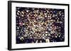 Love padlocks on the bridge - Paris - France-Philippe Hugonnard-Framed Photographic Print