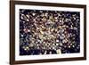 Love padlocks on the bridge - Paris - France-Philippe Hugonnard-Framed Photographic Print