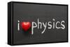 Love Physics-Yury Zap-Framed Stretched Canvas