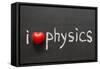 Love Physics-Yury Zap-Framed Stretched Canvas
