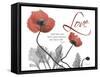 Love Poppies-Albert Koetsier-Framed Stretched Canvas