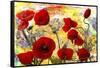 Love Poppy Flowers-Ata Alishahi-Framed Stretched Canvas