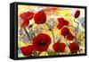 Love Poppy Flowers-Ata Alishahi-Framed Stretched Canvas