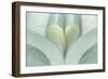 Love Reading I-Kathy Mahan-Framed Photographic Print