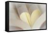 Love Reading II-Kathy Mahan-Framed Stretched Canvas