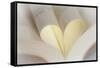 Love Reading II-Kathy Mahan-Framed Stretched Canvas