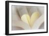 Love Reading II-Kathy Mahan-Framed Photographic Print