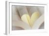 Love Reading II-Kathy Mahan-Framed Photographic Print