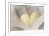 Love Reading II-Kathy Mahan-Framed Photographic Print