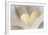 Love Reading II-Kathy Mahan-Framed Photographic Print