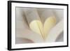 Love Reading II-Kathy Mahan-Framed Photographic Print