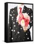 Love, Romance, Holiday, Celebration - Young Man Giving Bouquet of Flowers-dolgachov-Framed Stretched Canvas