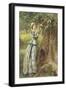 Love's Letter Box-Arthur Hopkins-Framed Giclee Print