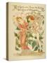 Love's Own Flower Blushing Rose, Queen of All the Garden Close Written and Drawn by Walter Crane-null-Stretched Canvas