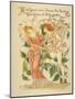 Love's Own Flower Blushing Rose, Queen of All the Garden Close Written and Drawn by Walter Crane-null-Mounted Photographic Print