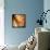 Love Scenes-null-Framed Stretched Canvas displayed on a wall