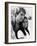 Love Story, 1970-null-Framed Photographic Print