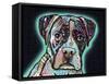 Love Thy Boxer-Dean Russo-Framed Stretched Canvas