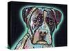 Love Thy Boxer-Dean Russo-Stretched Canvas