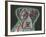 Love Thy Boxer-Dean Russo-Framed Giclee Print