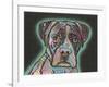 Love Thy Boxer-Dean Russo-Framed Giclee Print