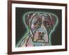 Love Thy Boxer-Dean Russo-Framed Giclee Print