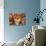 Love Tree-Natasha Wescoat-Mounted Giclee Print displayed on a wall