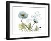 Love Tulips-Albert Koetsier-Framed Premium Giclee Print