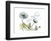 Love Tulips-Albert Koetsier-Framed Premium Giclee Print