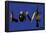 Love (Weapons) Blue Steez Poster-Steez-Framed Poster