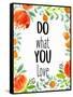 Love What You 2-Kimberly Allen-Framed Stretched Canvas