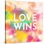 Love Wins-null-Stretched Canvas