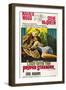 Brown Frame