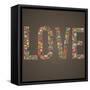 Love Word Made of Flowers, Birds and Leafs-smilewithjul-Framed Stretched Canvas
