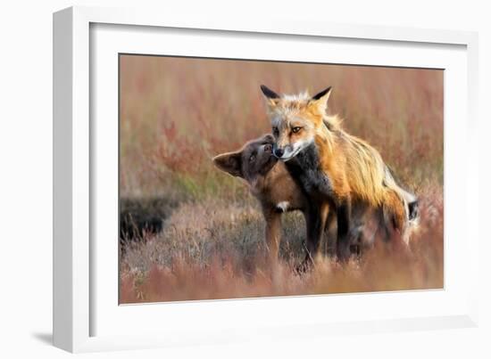 Love You-Jun Zuo-Framed Giclee Print