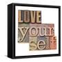 Love Yourself-PixelsAway-Framed Stretched Canvas