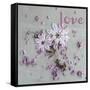 Love-Sarah Gardner-Framed Stretched Canvas