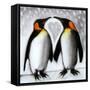 Love-Paul Powis-Framed Stretched Canvas