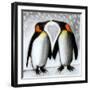 Love-Paul Powis-Framed Giclee Print