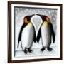 Love-Paul Powis-Framed Giclee Print