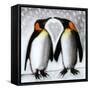 Love-Paul Powis-Framed Stretched Canvas