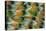 Lovebird tail feather pattern, Bandon, Oregon-Darrell Gulin-Stretched Canvas